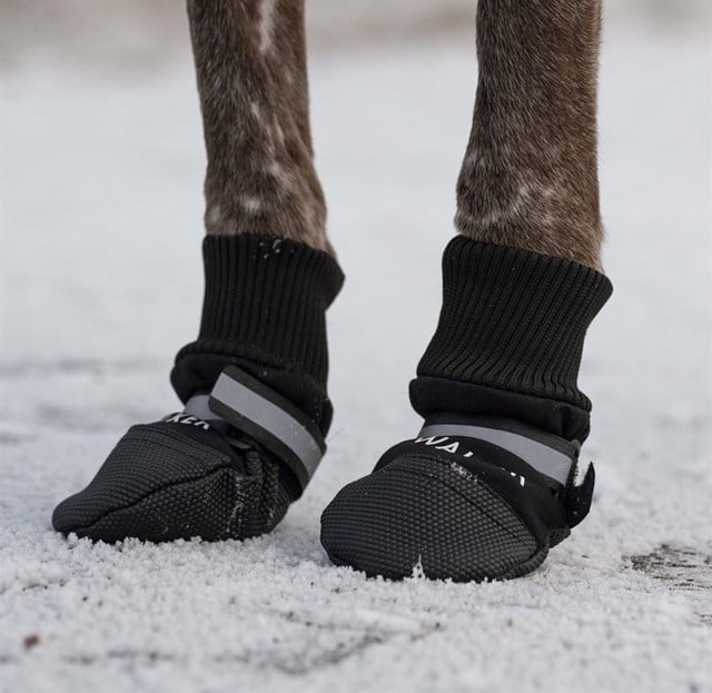 Trixie Hundesko Walker Comfort 2-pack - Svart