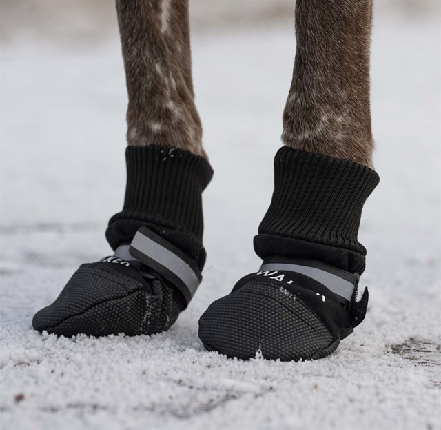 Trixie Hundesko Walker Comfort 2-pack - Svart