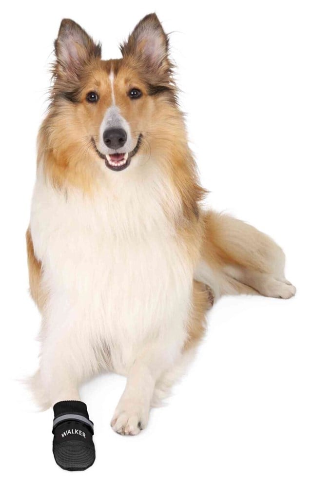 Trixie Hundesko Walker Comfort 2-pack - Svart