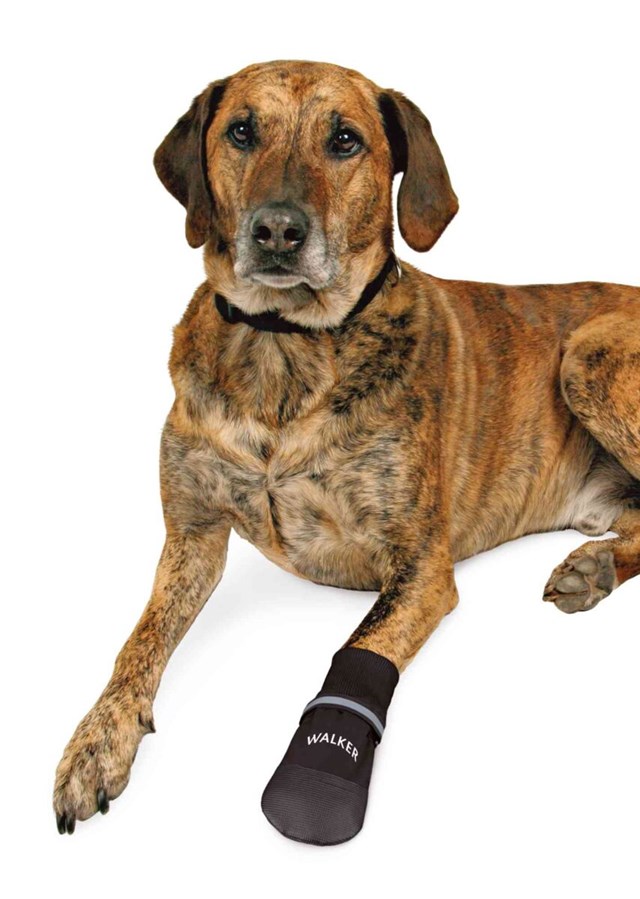 Trixie Hundesko Walker Comfort 2-pack - Svart