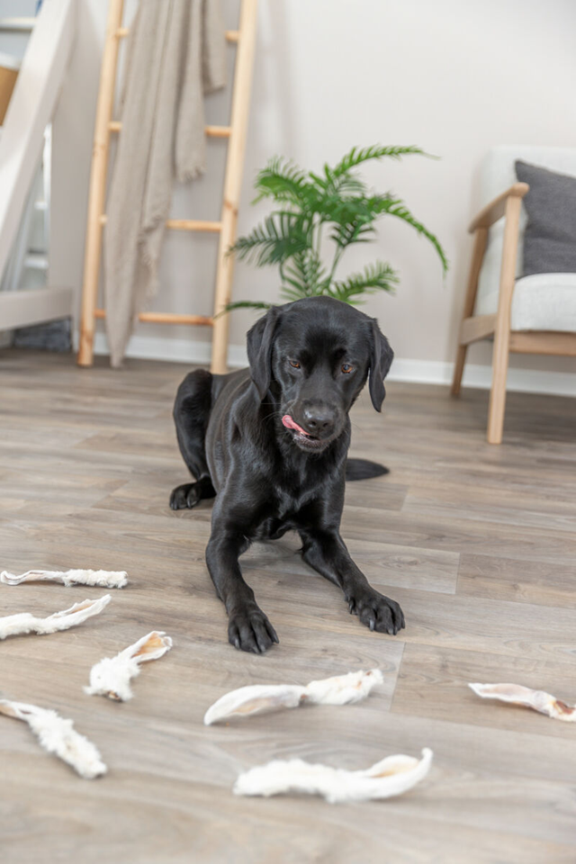 Trixie Kaninører med pels 100g