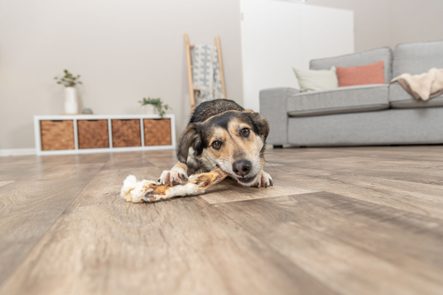 Trixie Kaninører med pels 100g