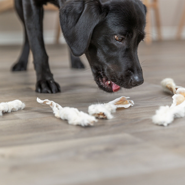 Trixie Kaninører med pels 500g