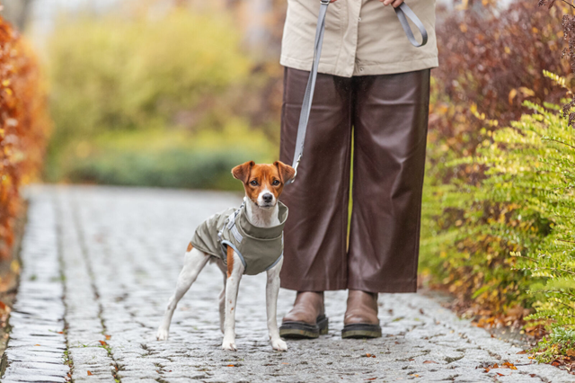 Trixie Pontis Regndekken med integrert sele – olivengrønn