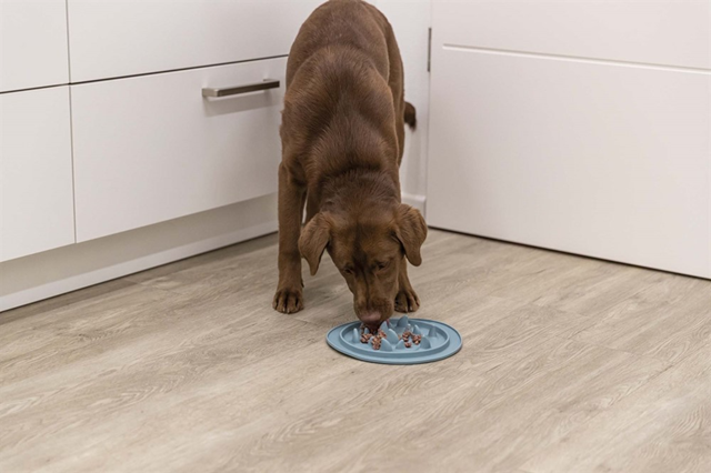 Trixie Slow Feed Hundeskål - Haifinner