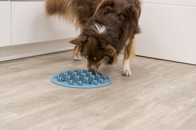 Trixie Slow Feed Hundeskål - Pilar