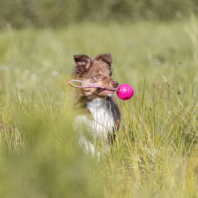 Soft & Strong – Ball med håndtak Rosa