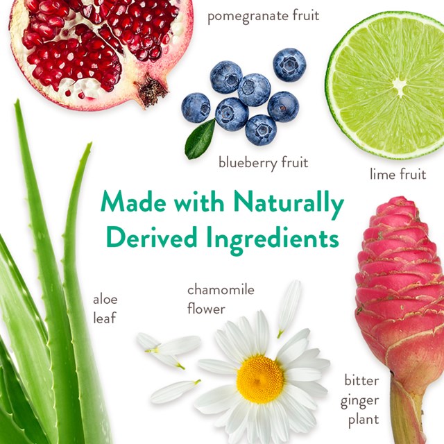 TropiClean Sjampo Shed Control Lime Coconut 355ml