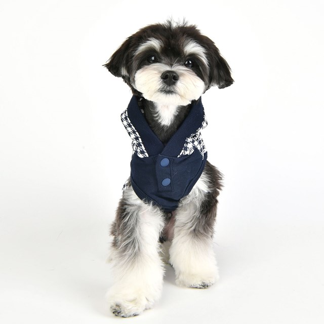 Collette - Navy