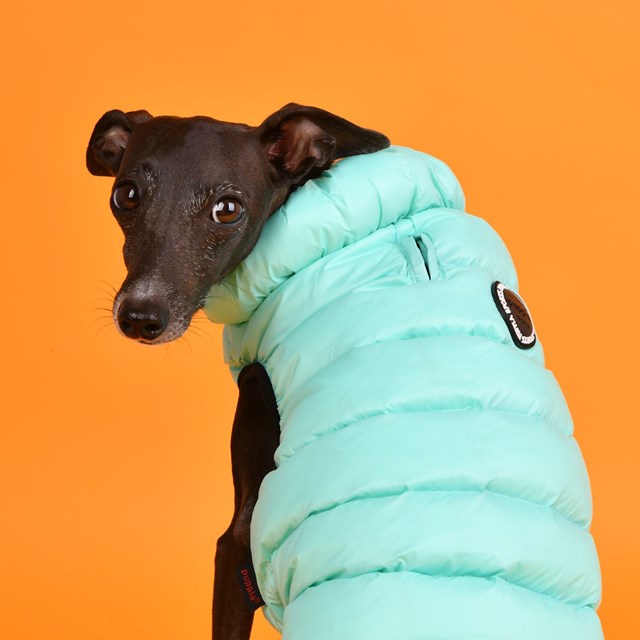 Ultra Light Vest B Sky Blue Dog Vest