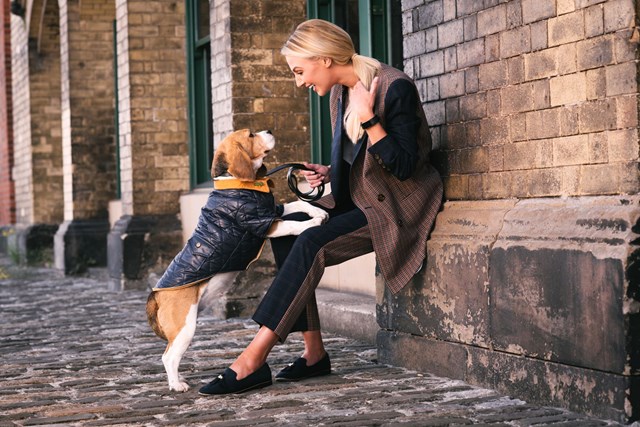 Navy Quilted Town & Country - Hundejakke