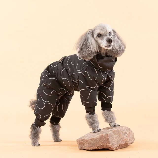 Paikka Winter Suit for Dogs - BLACK