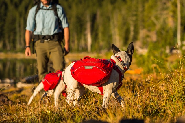 Palisades Pack Hundekløv - Rød