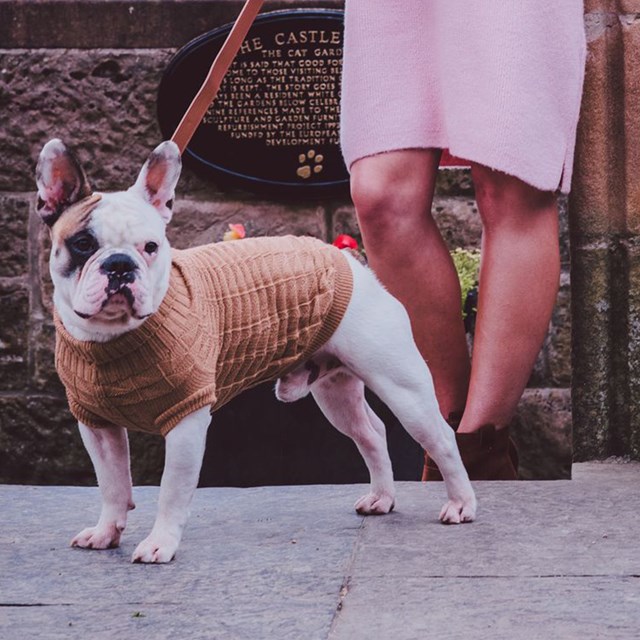 Brown Waffle Textured Strikket Hundegenser