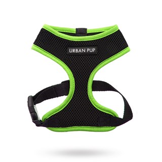 Active Mesh Neon Hundsele - Grønn