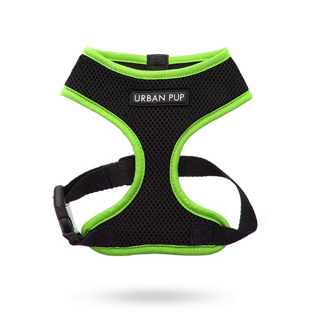 Active Mesh Neon Hundsele - Grønn