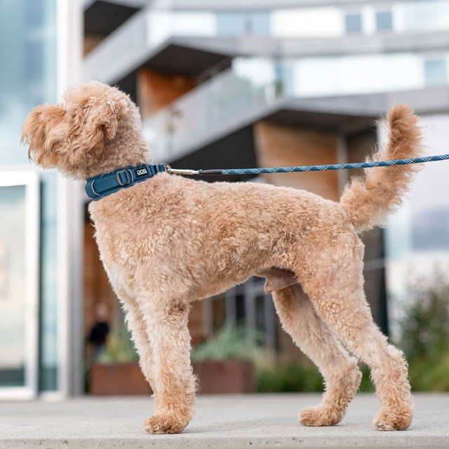 URBAN EXPLORER 3.0 HALSBÅND OCEAN BLUE