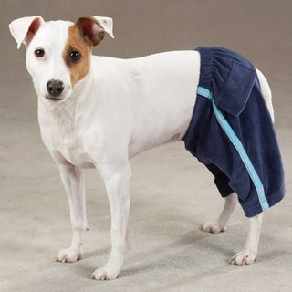 Velour Royalty Sweat Pants - Blue