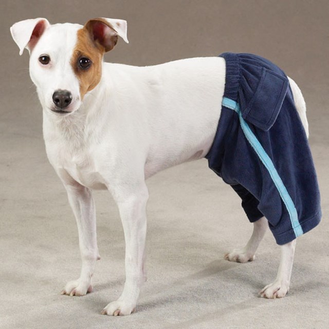 Velour Royalty Sweat Pants - Blue