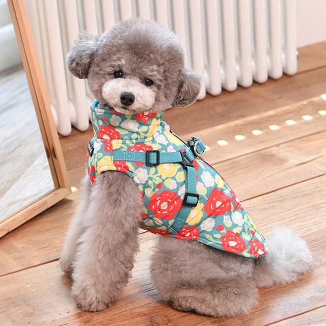 Alyssa Aqua - Hundedekken med integrert sele