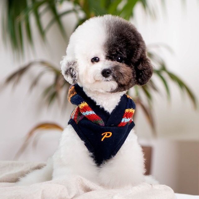 Lennon Navy - Hundegenser