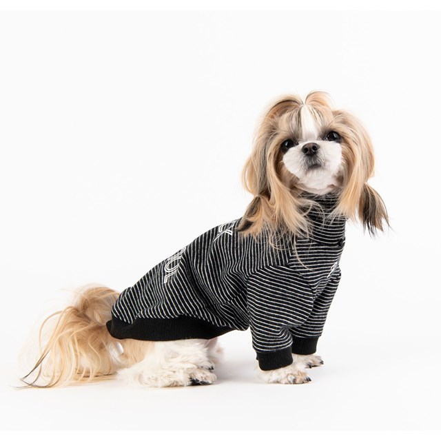 Back To School Black - Hundegenser