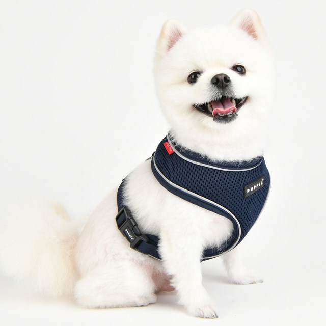 SOFT Harness A PRO Navy - Hundesele