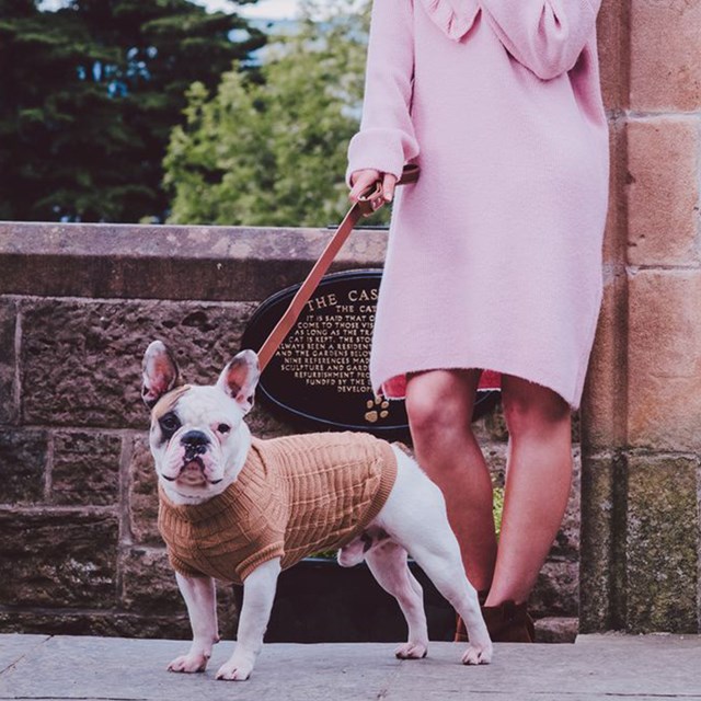 Brown Waffle Textured Strikket Hundegenser