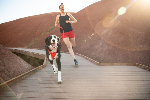 Front Range Sele - Red Sumac