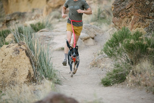 Roamer Leash Strikkobbel - Blue Atoll