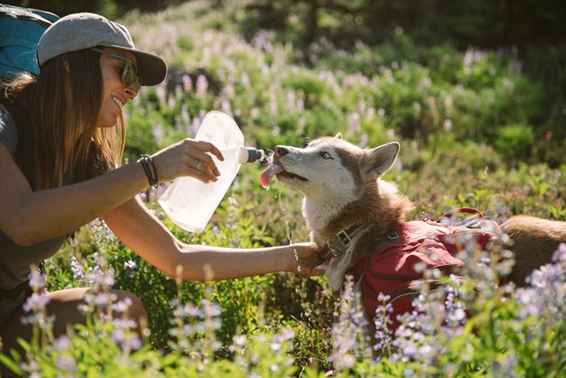 Replacement Bladder - Vannflaske 1L