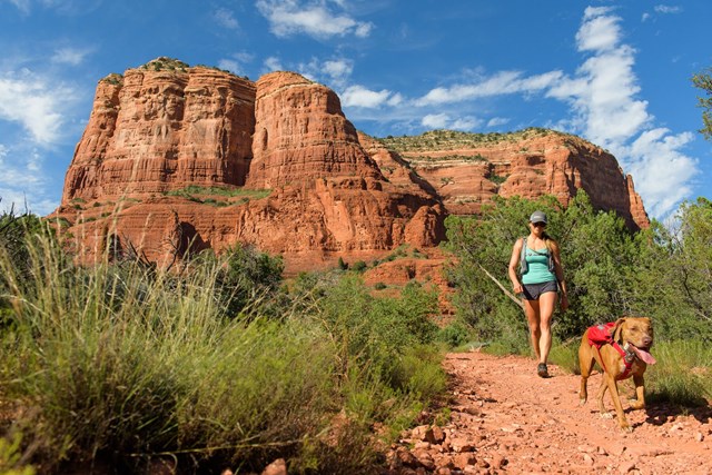 SINGLETRAK PACK - Red Currant