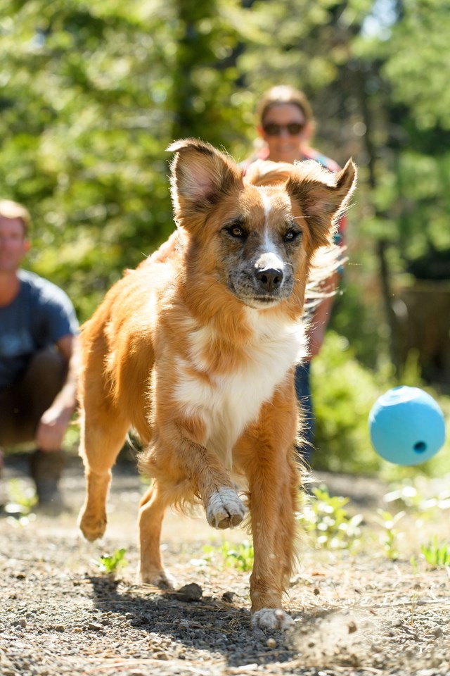 Huckama - Sockeye Red