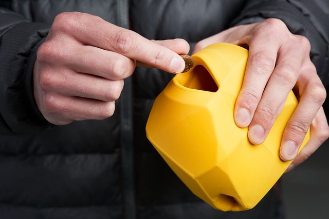 Gnawt A Rock Metolius Blue