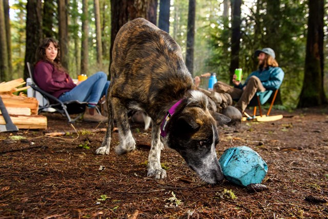 Gnawt A Rock Metolius Blue