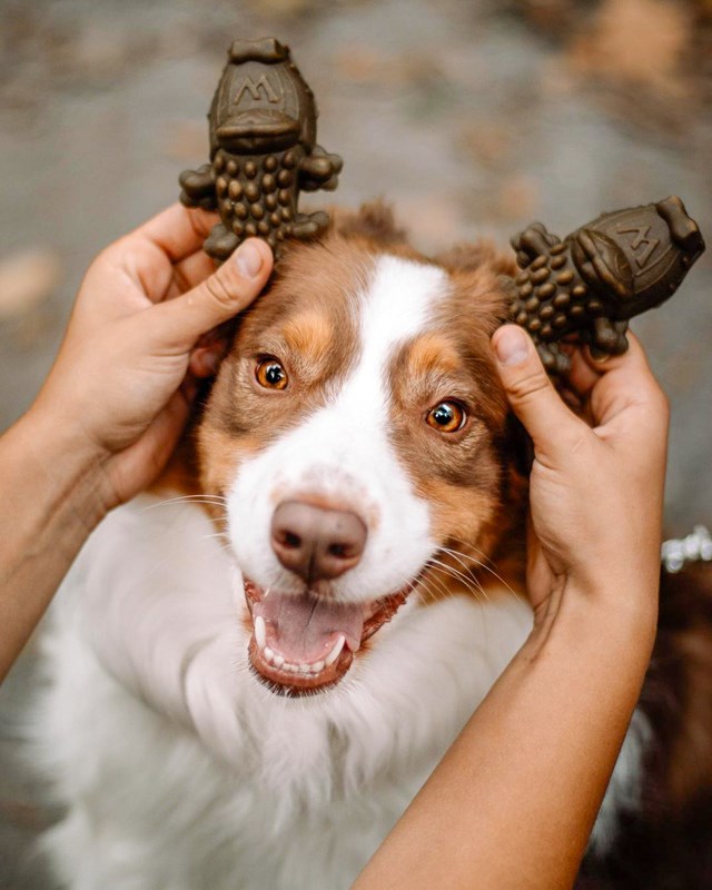 Whimzees Alligator Dental Stick L