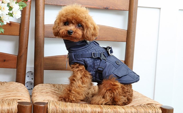 WILKES Navy - Hundedekken med Integrert Sele