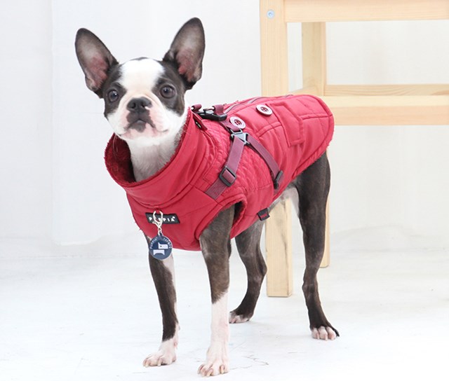 WILKES Red - Hundedekken med Integrert Sele