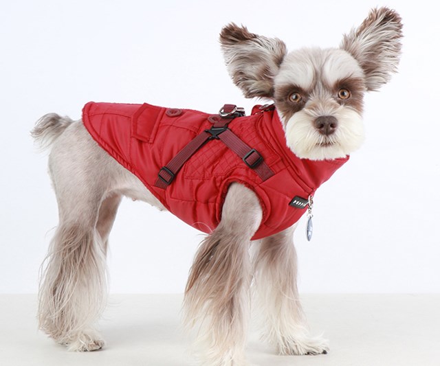 WILKES Red - Hundedekken med Integrert Sele