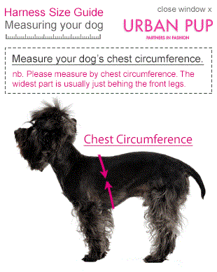 Jet Black Soft Mesh Hundesele