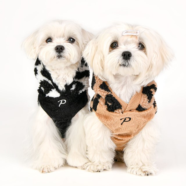 Serval - Beige Hundegenser