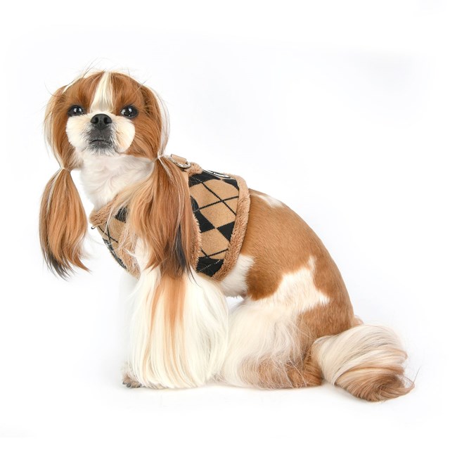 Jaden Beige - Jacket Hundesele