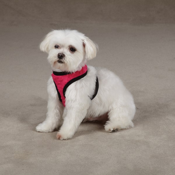 Dimple Plush Sele Rosa