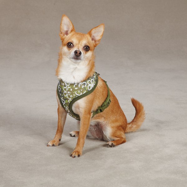 Carolina Green - Hundesele - Large
