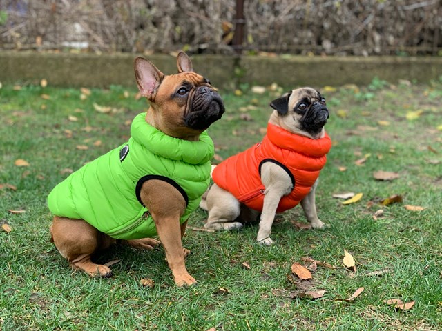 Ultra Light Vest B Orange Hundedekken