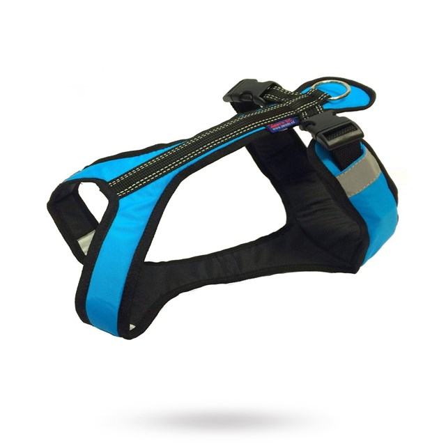 Zero DC Shorter Turkis & Svart