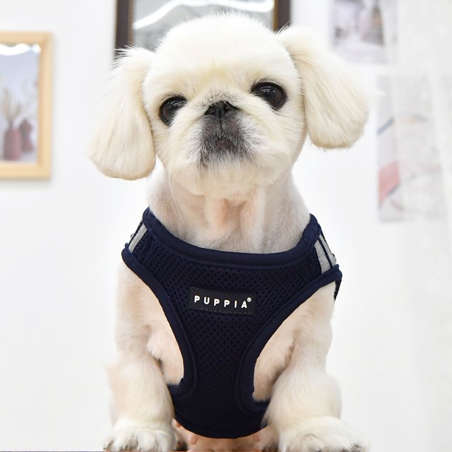 Soft Vest PRO Navy - Hundesele