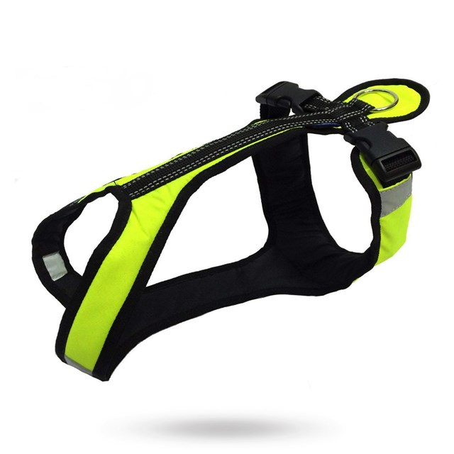 ZERO DC SHORTER NEON GREEN & BLACK