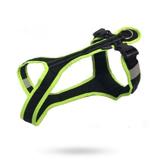 Zero Dc Shorter Svart & Neongrønn