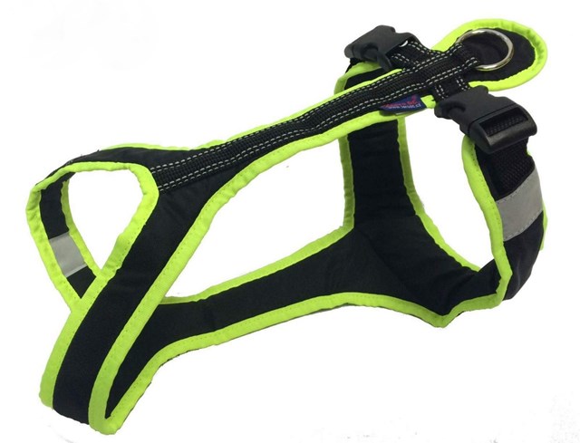 Zero DC Shorter Svart & Neongrønn